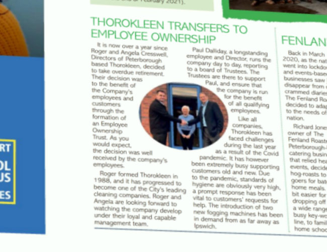 Thorokleen Transfer